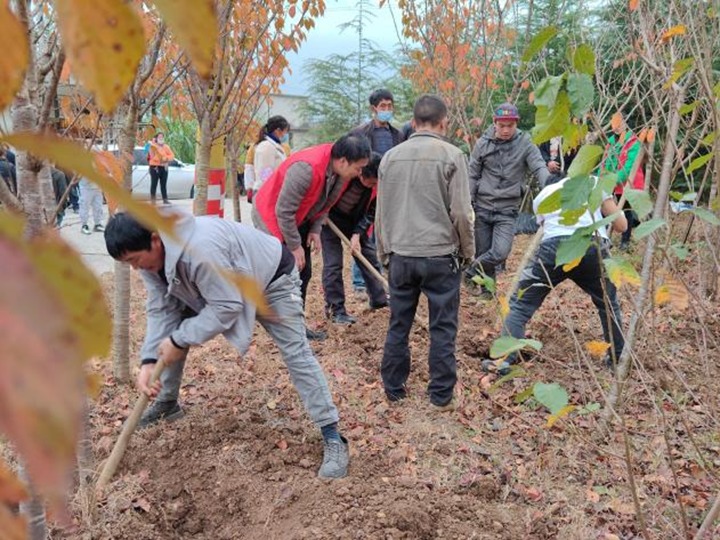 提升墟落人居情形 共绘墟落新画卷——集团驻村事情队与寿山村群众共建樱；；；ù蟮