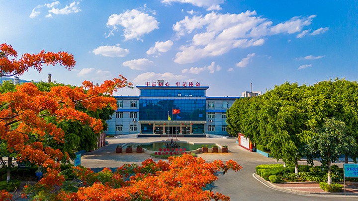 红色基由于引领，，磨练战场写华章  —— 汗水与智慧交织的磨练历程