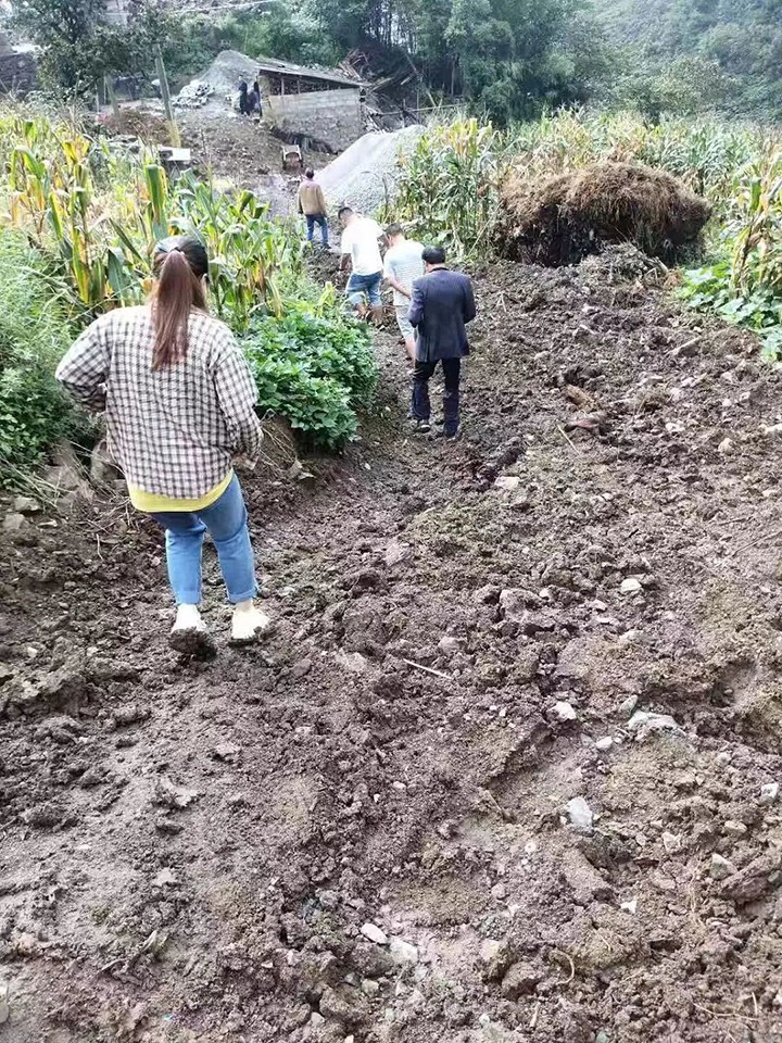 天博