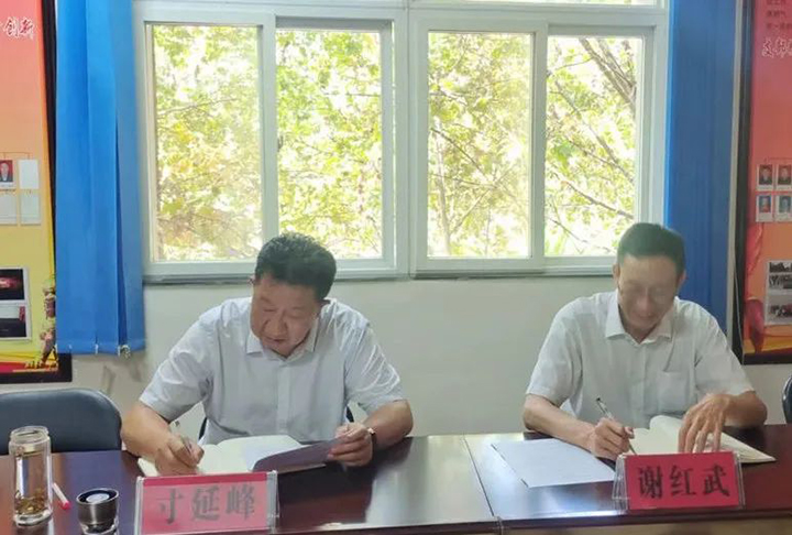 天博