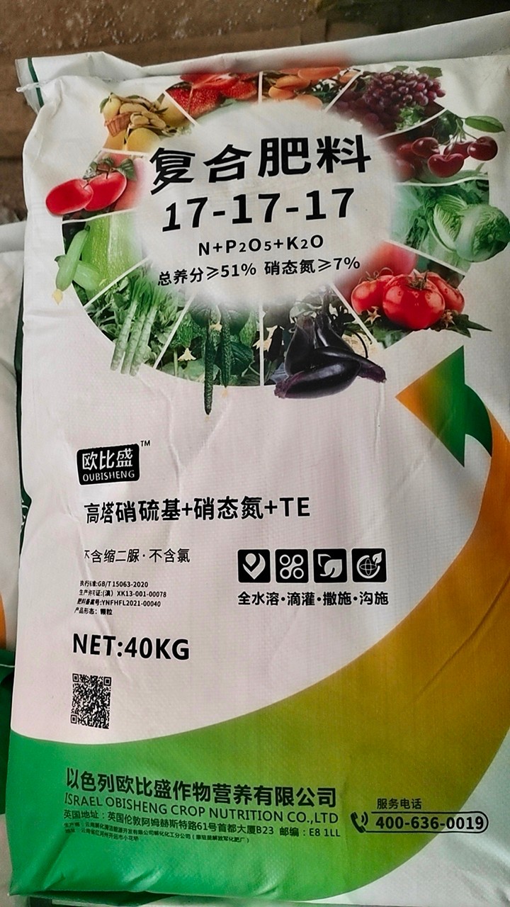 天博