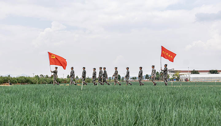 天博