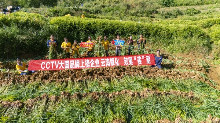 天博
